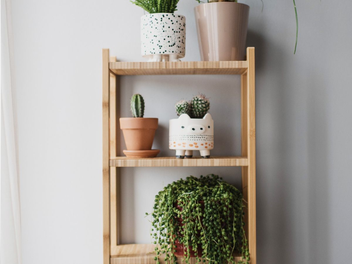 custom wood shelf