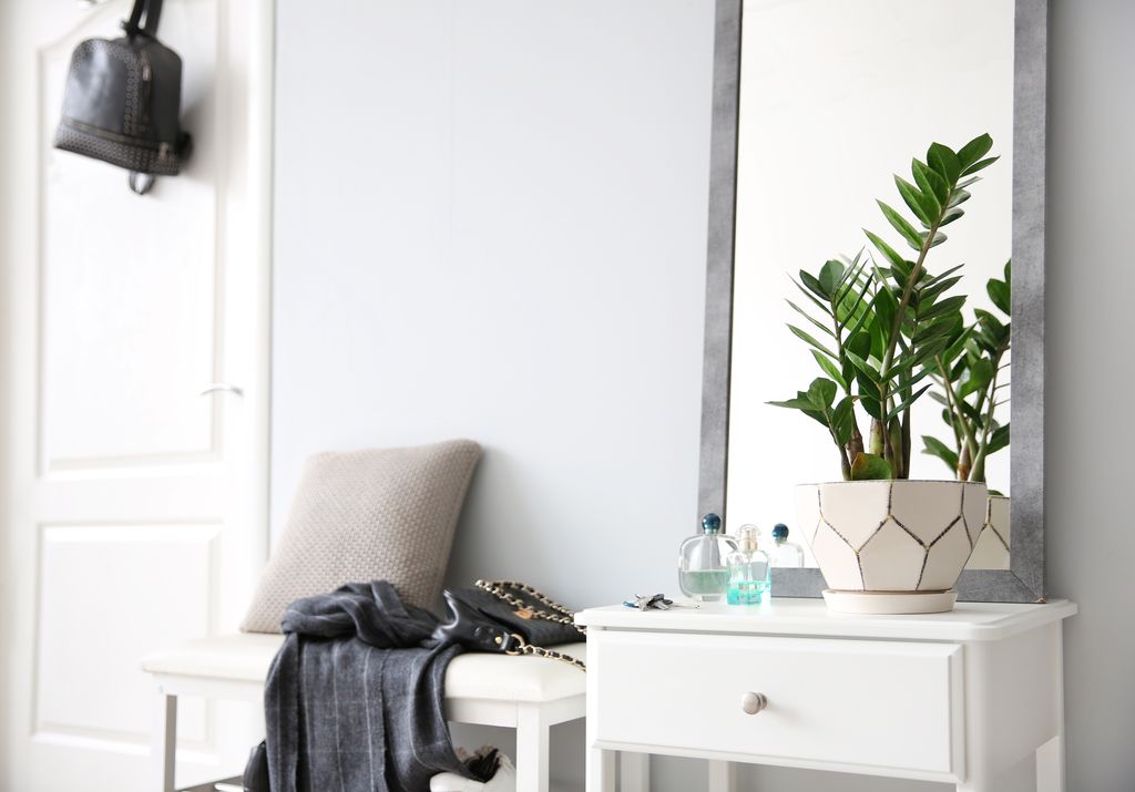 Clever Ways to Make a Small Room Look Bigger with Mirrors